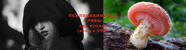 гашик Михайлов