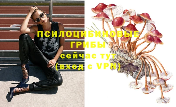 тгк Михайловка