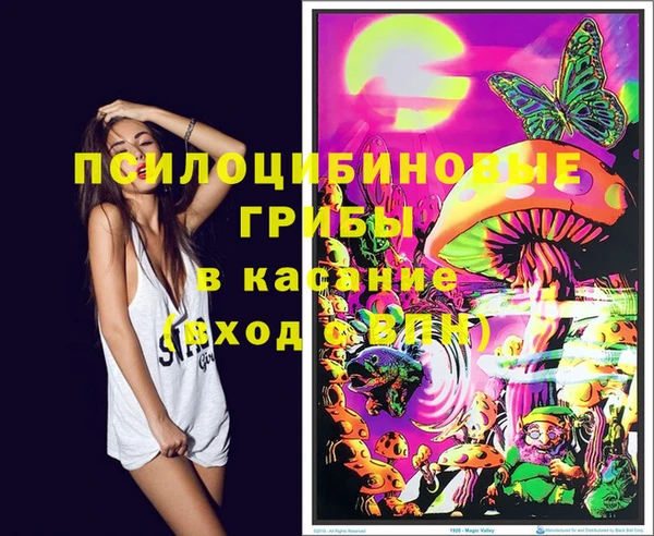 прущая мука Михайловск