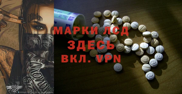 гашик Михайлов