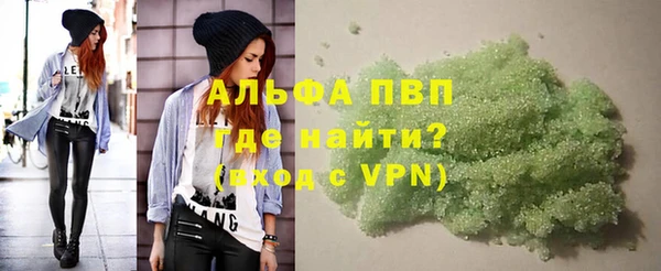 гашик Михайлов